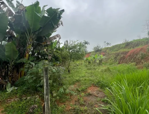 Código: T5474 – BLUMENAU – ITOUPAVAZINHA – Terreno testada 13,5m