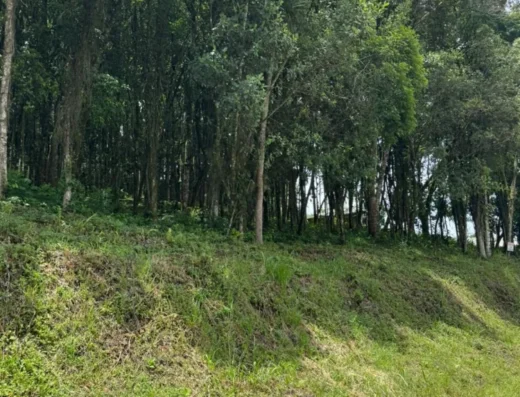 Código: T5493 – BLUMENAU – FORTALEZA ALTA