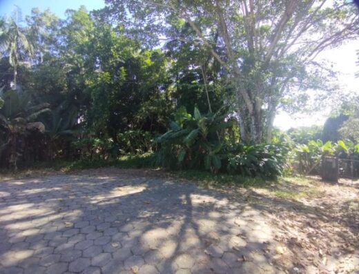 T5455 – Terreno plano