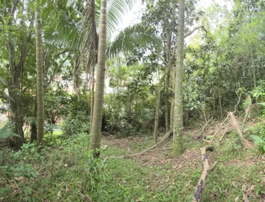 Código: T5506 – BLUMENAU – VELHA CENTRAL – Terreno escriturado – Área terreno: 3.900m²