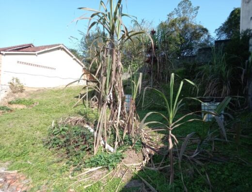 T5390 – Terreno Escriturado