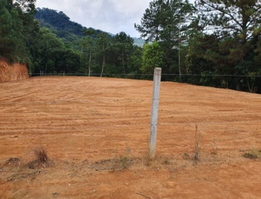T5423 – Terreno com 1875m²