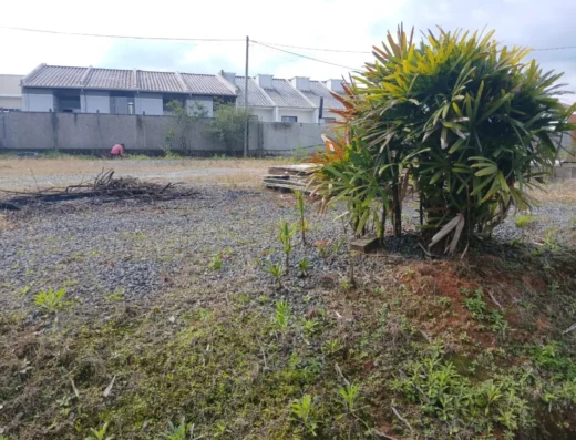 Código: T5501 – BLUMENAU – FORTALEZA ALTA – Terreno plano