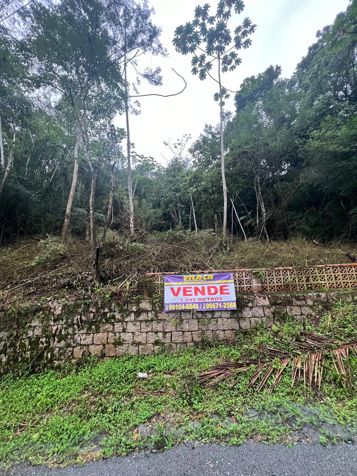 T5454 – Blumenau – Bom Retiro