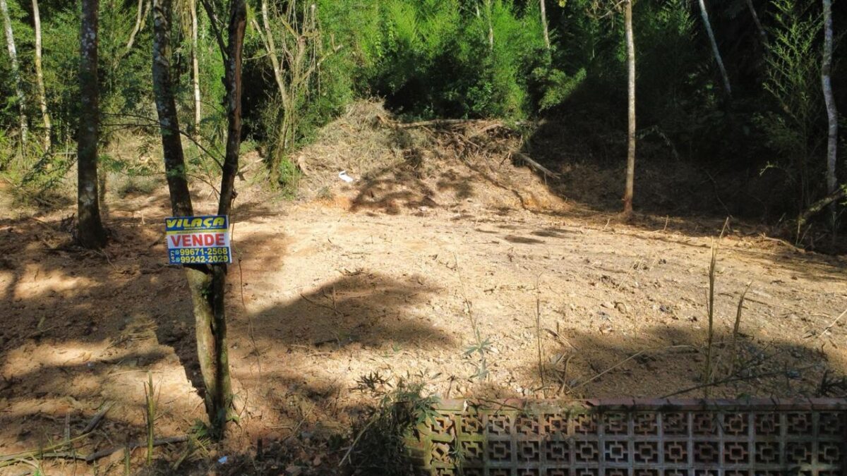 T5454 – Blumenau – Bom Retiro