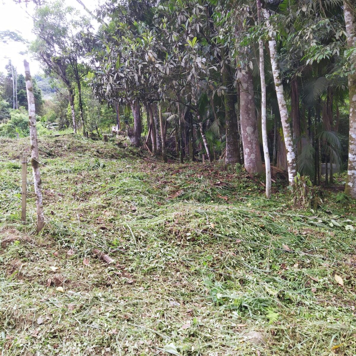 Código: T5520 – BLUMENAU – ITOUPAVA CENTRAL