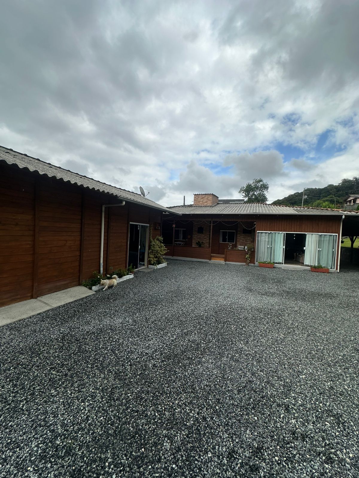 C1497 – TESTO SALTO – BLUMENAU