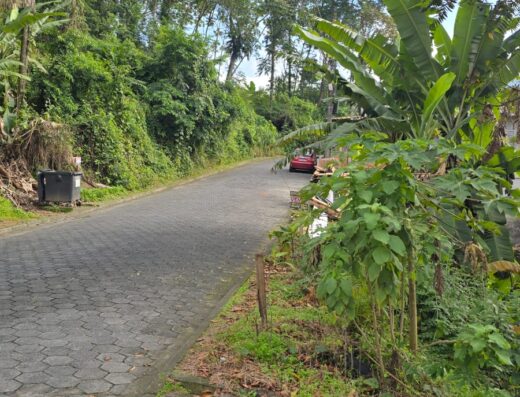 Código: T5521 – BLUMENAU – ESCOLA AGRÍCOLA