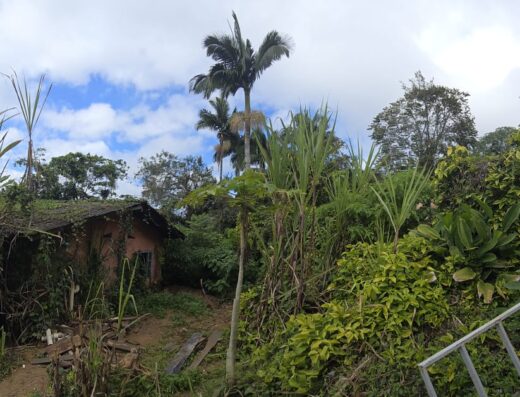 Código: T5521 – BLUMENAU – ESCOLA AGRÍCOLA