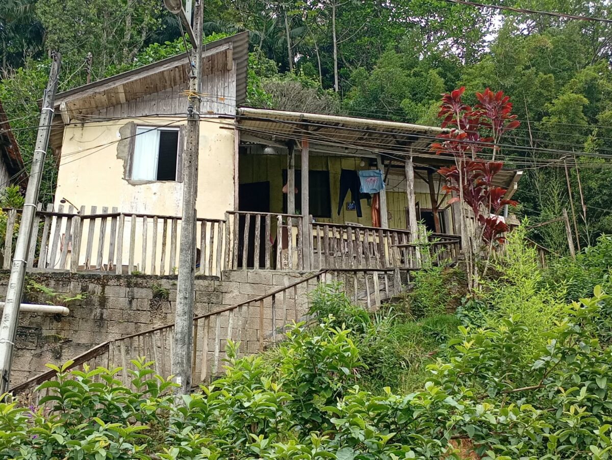 C1521 – GARCIA – BLUMENAU